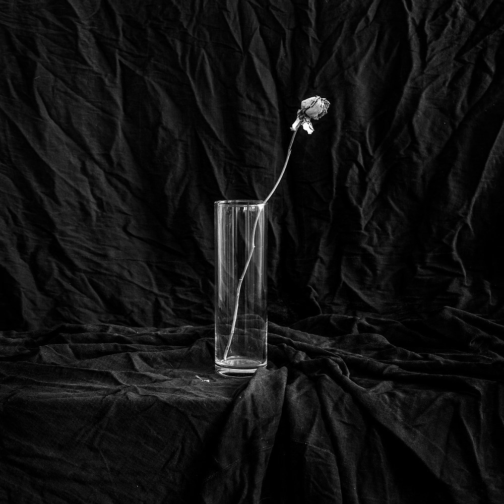 Бесчеловечно. натюрморт. пейзаж. Мастерская Демченко