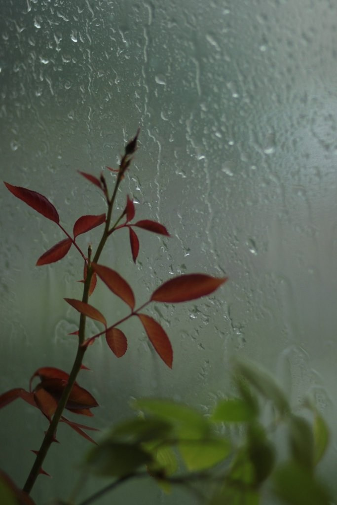 Моменты 2011-2016. Анастасия Либерти