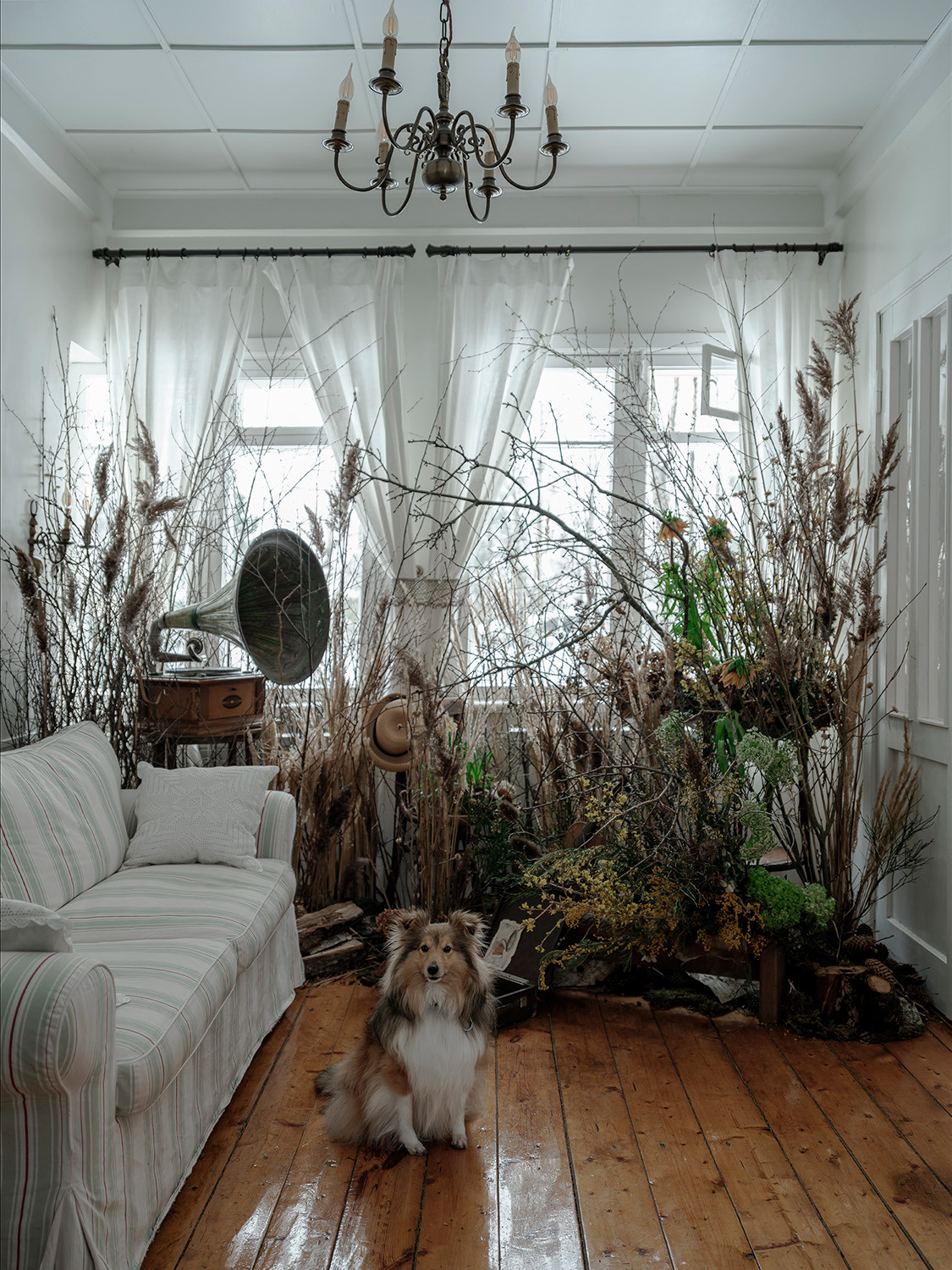 Весенний декор. Дача. Оформление свадеб, декор свадеб Вера Маркова, Москва