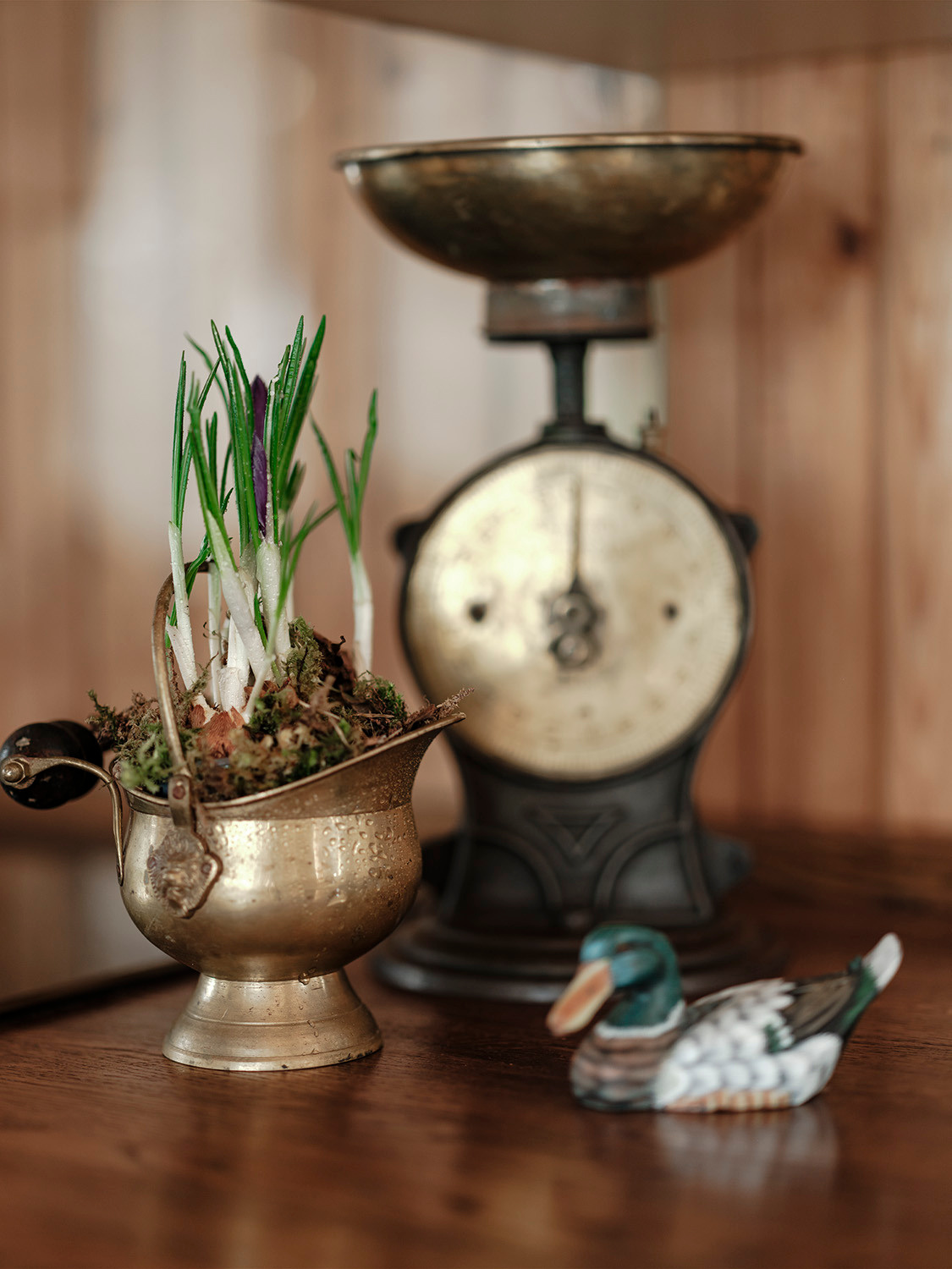 Весенний декор. Дача. Оформление свадеб, декор свадеб Вера Маркова, Москва