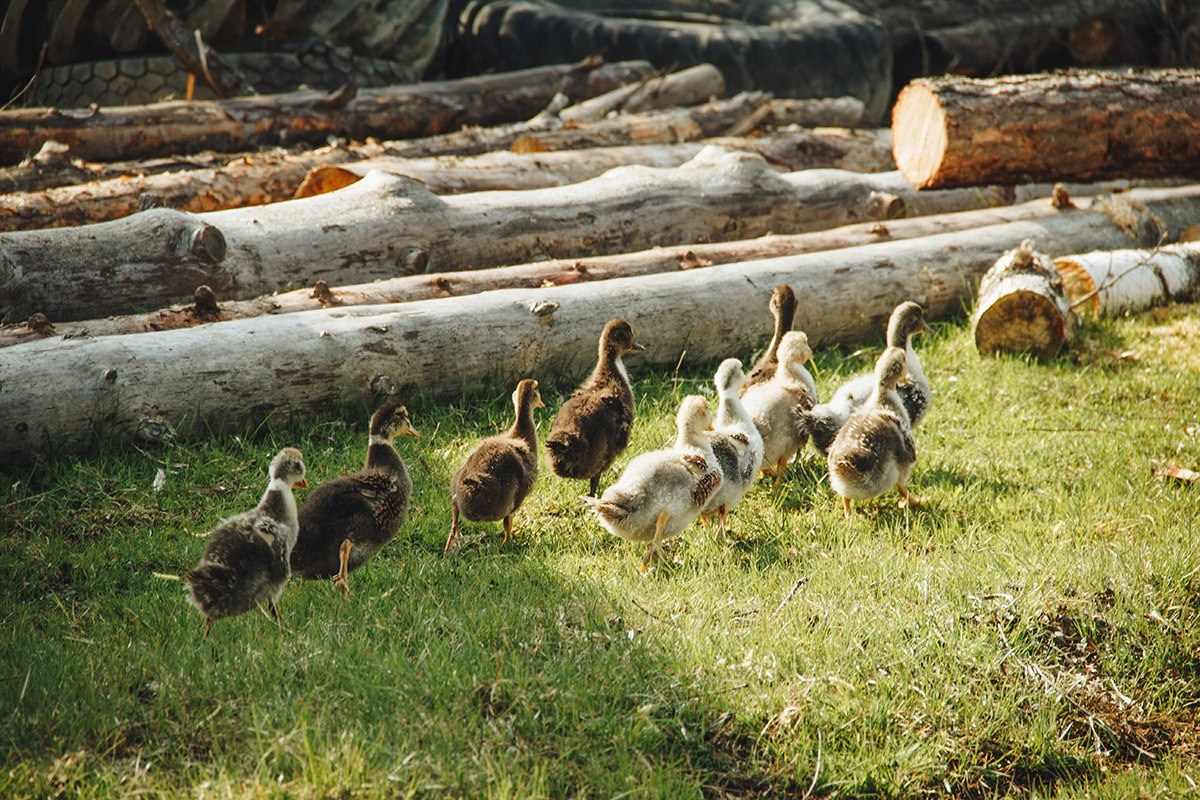 Vyksa. ФОТОГРАФ ANASTASIA KOSHELEVA