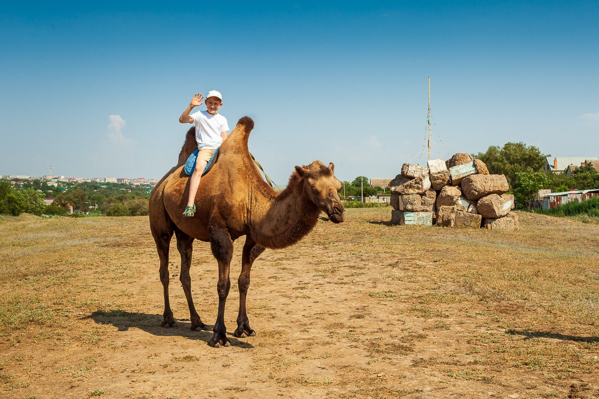 КАЛМЫКИЯ. Фотограф в Москве Татьяна Макотра