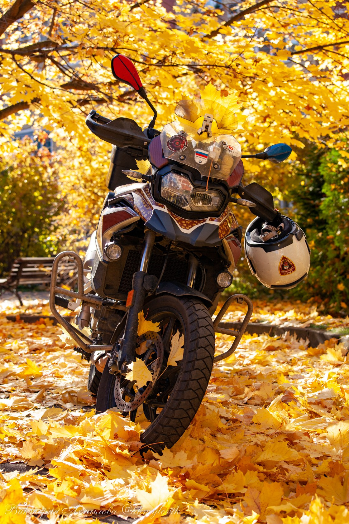 Маша Печенька (BMW GS1200). Виктория Ахмылова. Фотограф в Москве