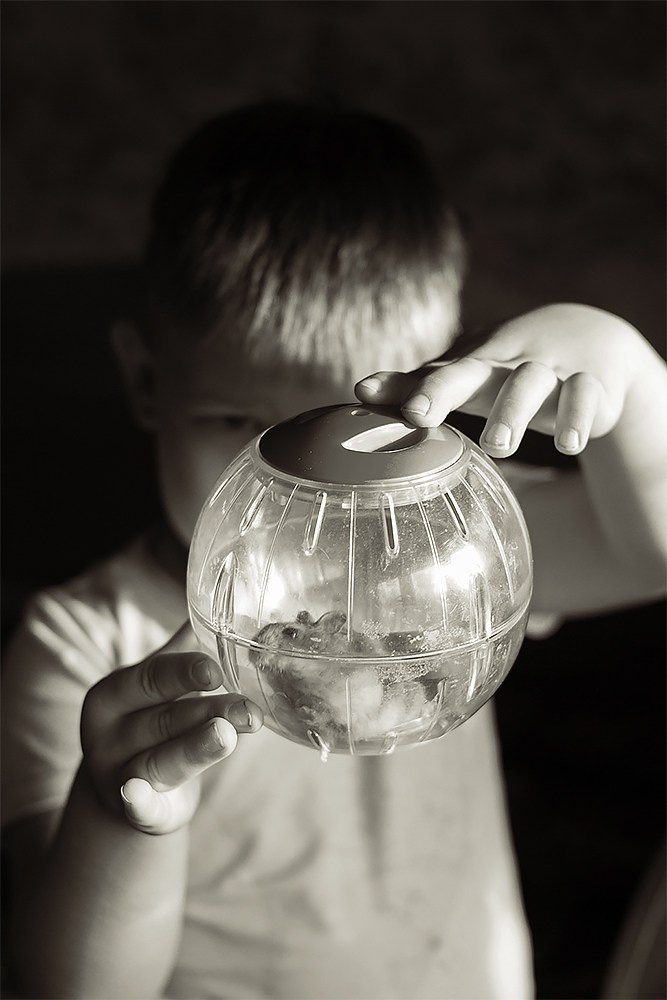 Домашняя зимняя фотосессия. Детский и семейный фотограф, фотограф мероприятий Нижний Новгород