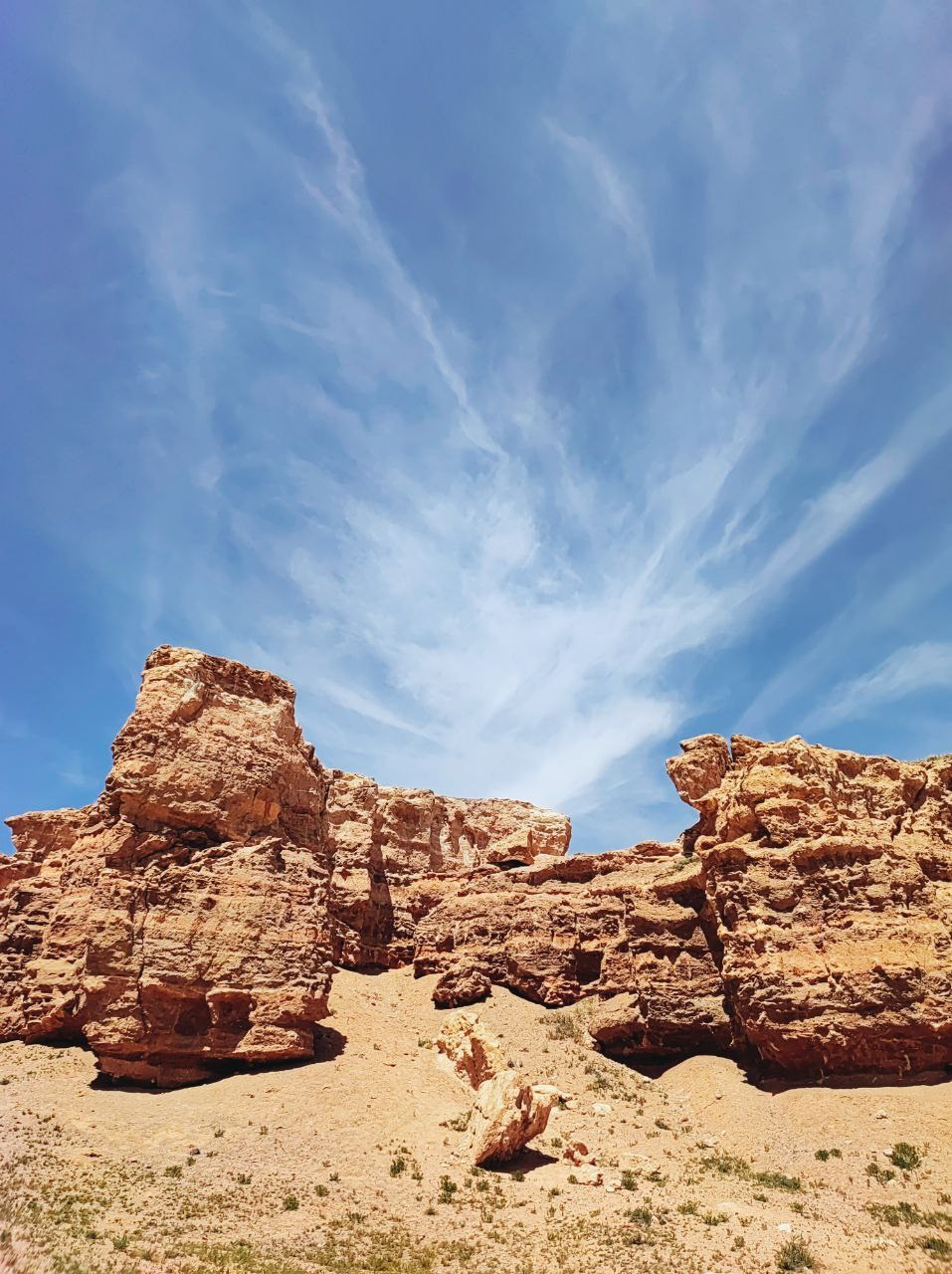 Намобилкус казахский. Репортажный фотограф Алексей Пирязев