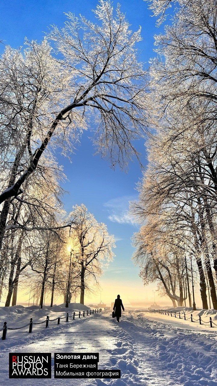 Сертификаты. Фотограф в Омске Таня Бережная