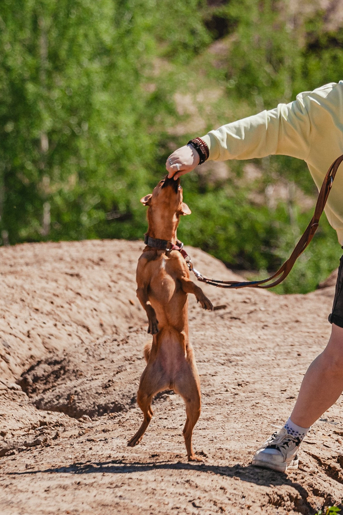 Кондуки. Фотограф-анималист Татьяна Степанова