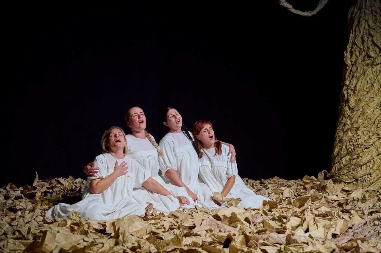 ОТЗЫВЫ. Семейный, свадебный, школьный фотограф в Железногорске Целуев Андрей