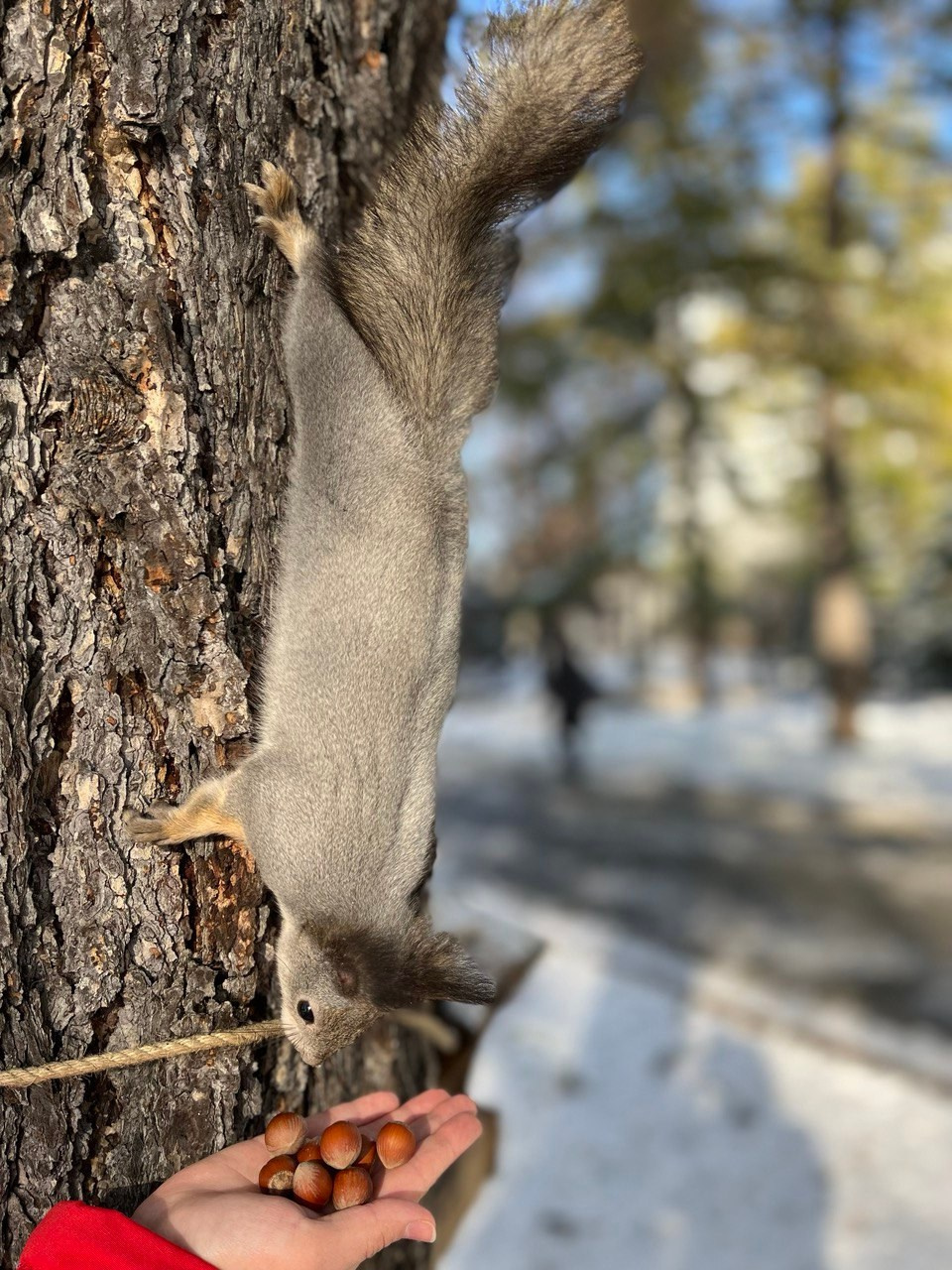 В природе. Портретный фотограф в Челябинске Катерина Руди