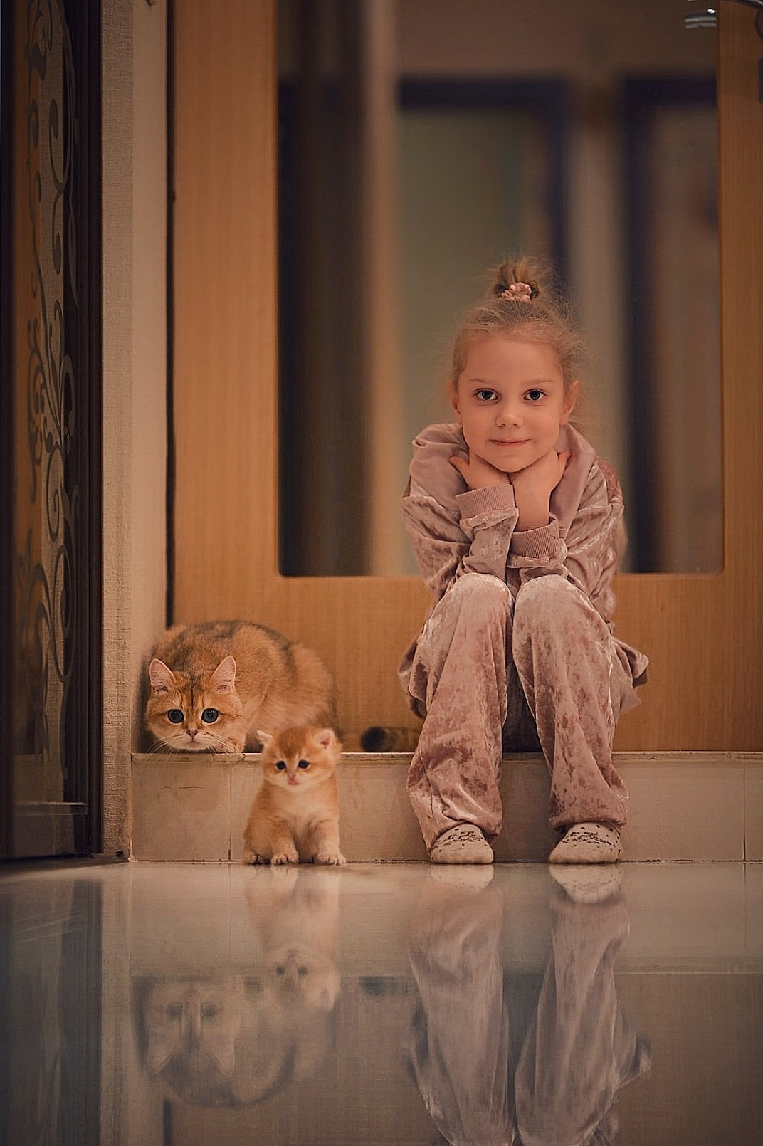 Зевс. Фотограф Ваших событий 📸