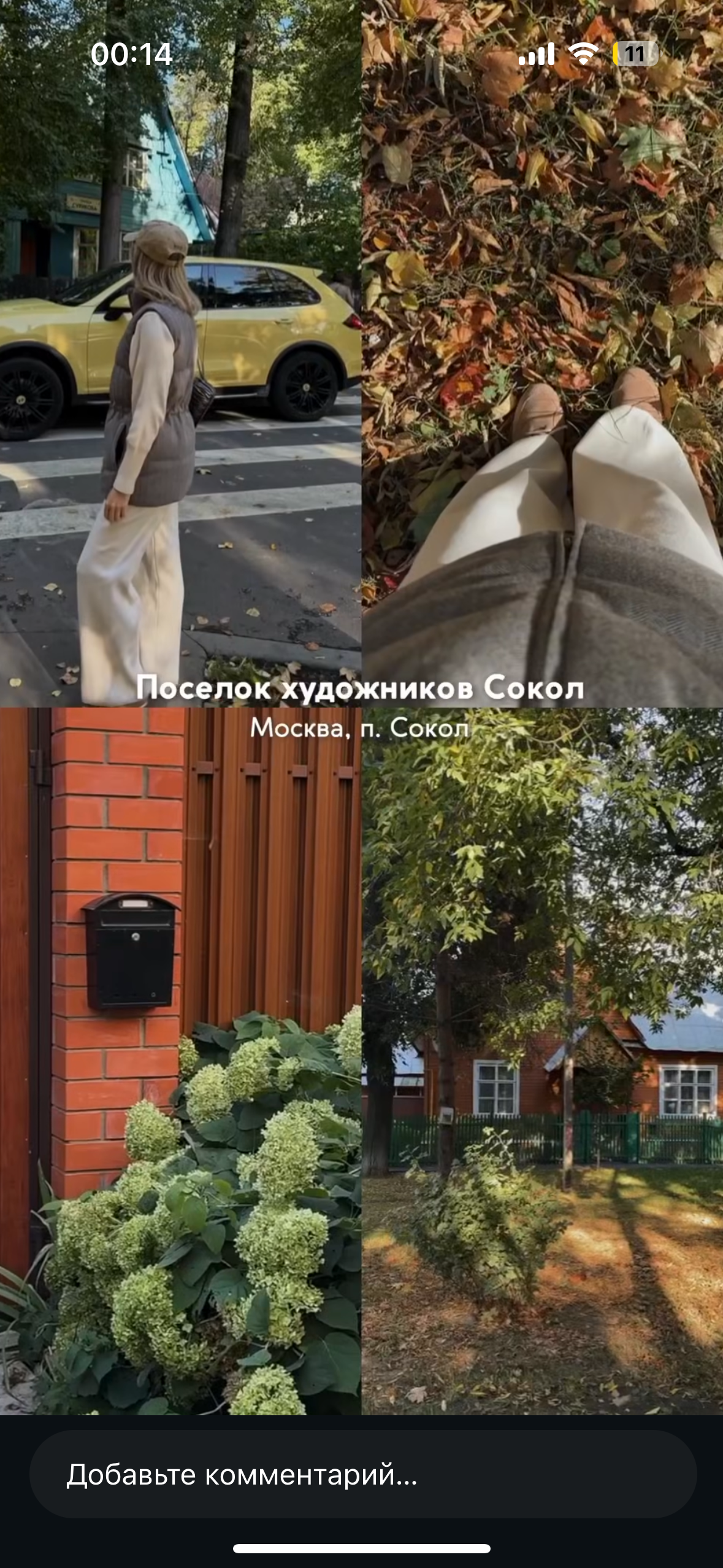 Природные. Фотограф Светлана Мерзлякова