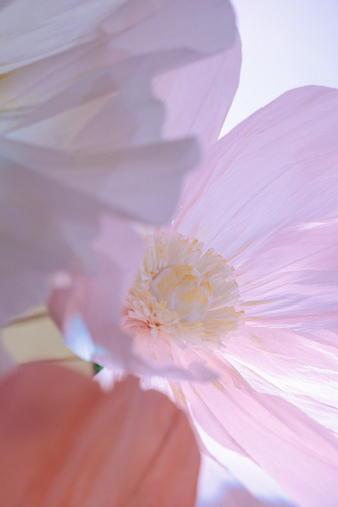 Артем и Таня. Фотограф Нижний Новгород
