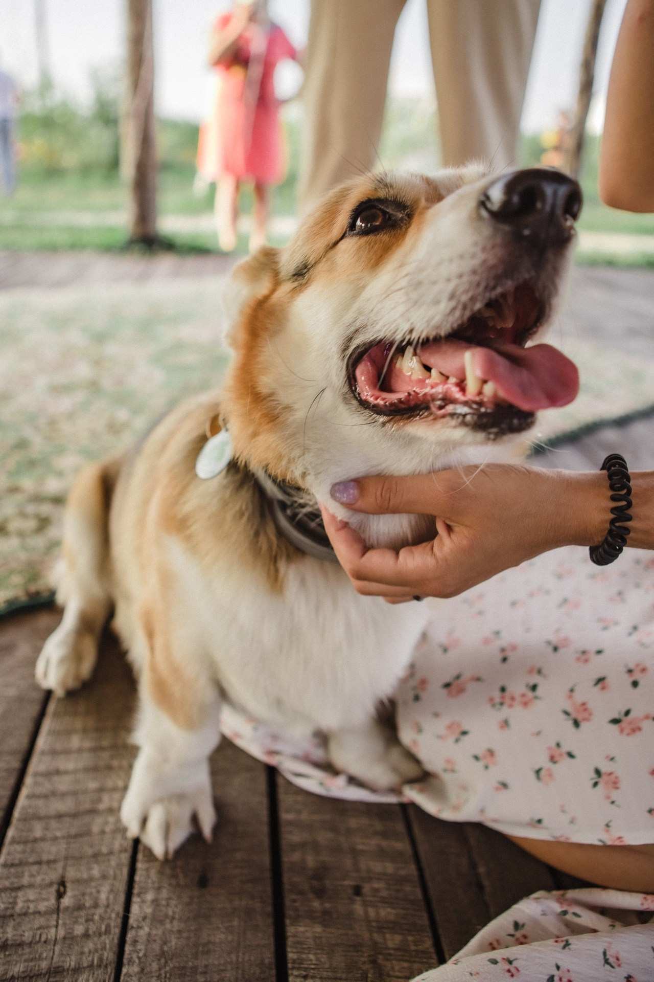 СЫЧ: Музыка на закате. Анастасия Попова — свадебный и репортажный фотограф | Воронеж, Павловск