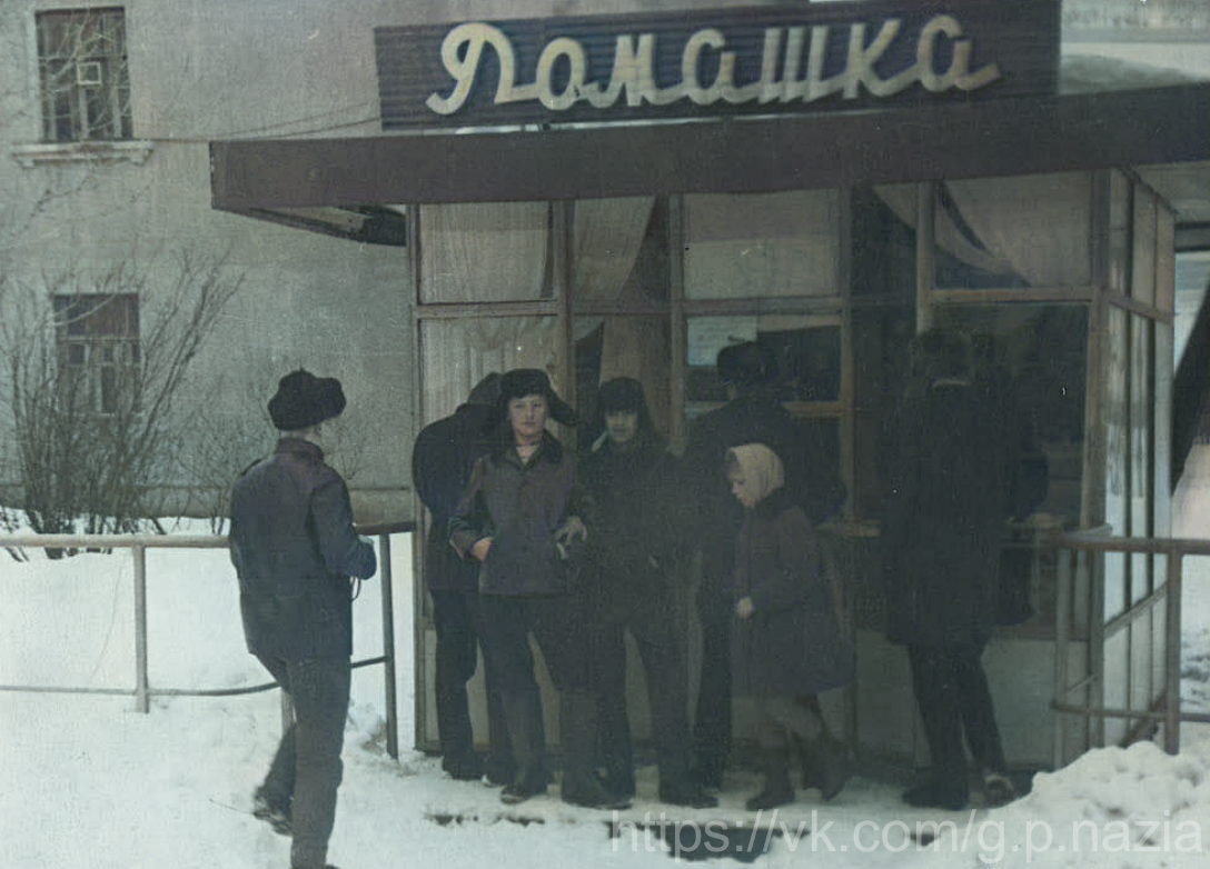 Назия в 1950-х и 1970-х. История Назиевского городского поселения