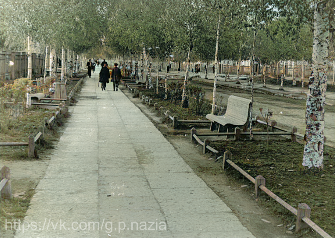 Назия в 1950-х и 1970-х. История Назиевского городского поселения