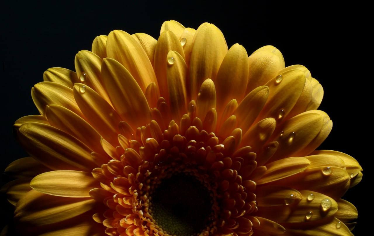 Предметы. Фотограф в Москве Юлия Майорова