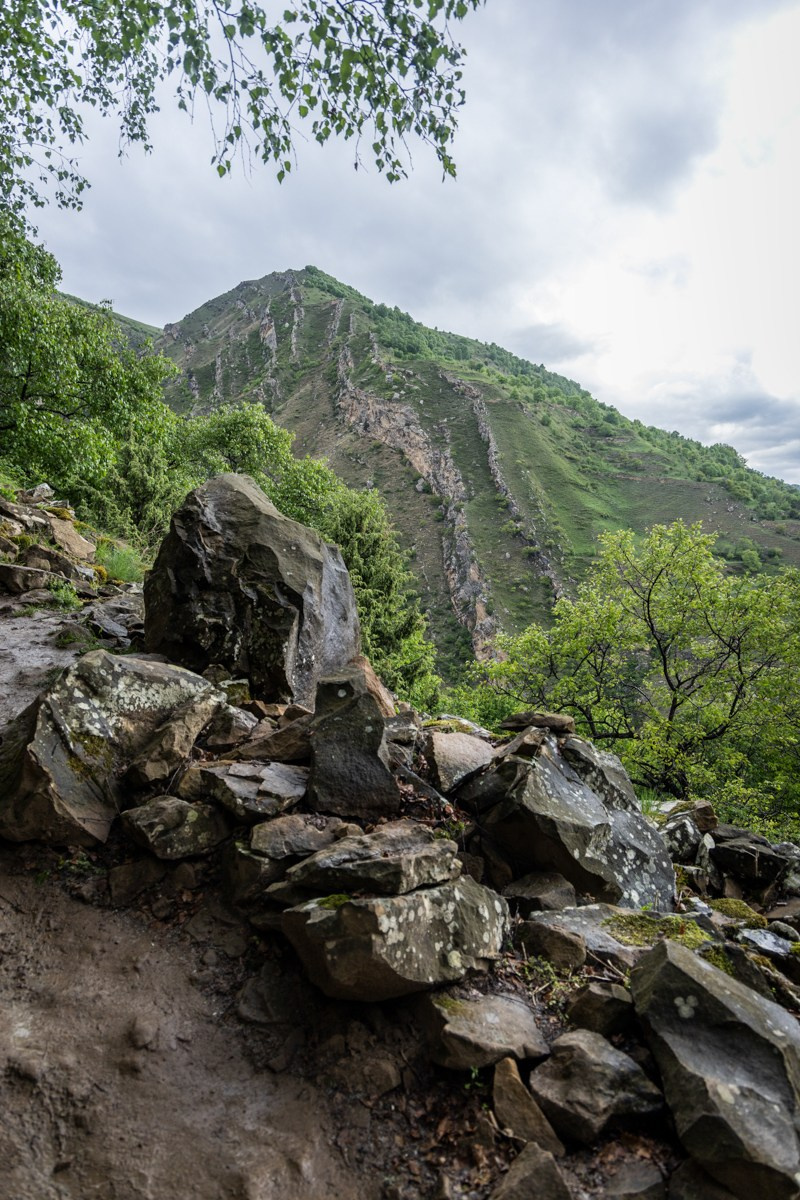 Горы. Photomantis