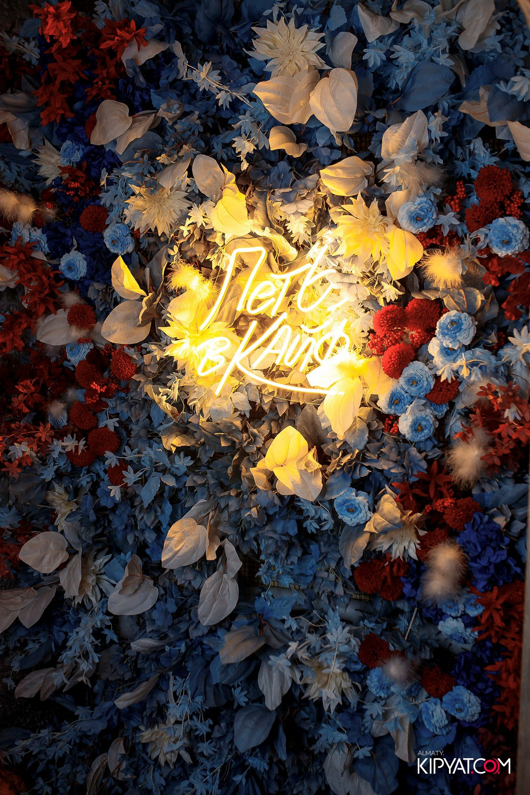 УХО И МЕДВЕДЬ НА ГАГАРИНА. КИПЯТКОМ АЛМАТЫ!