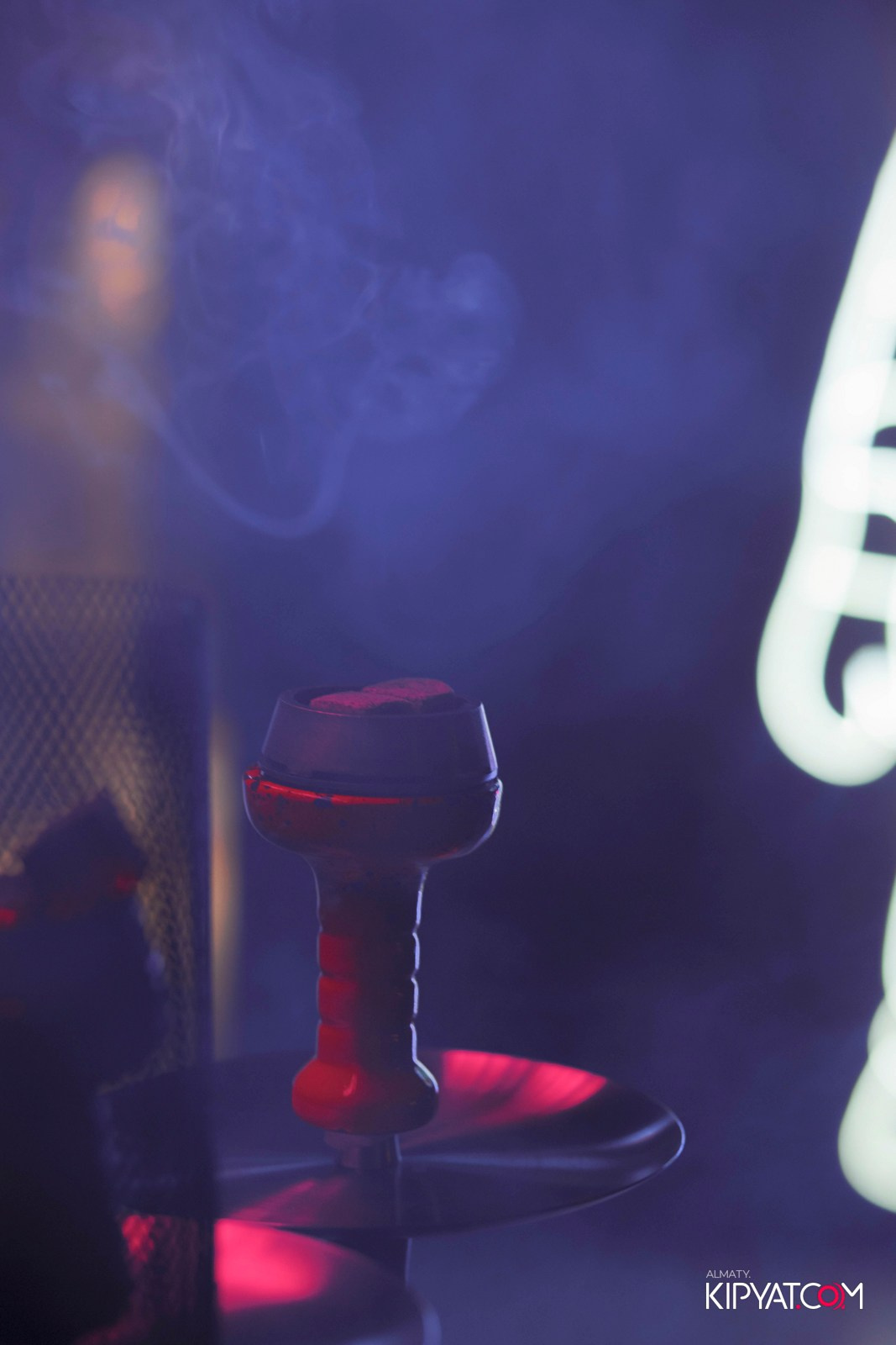 VICE CITY. КИПЯТКОМ АЛМАТЫ! Фотосъемка мероприятий в Алматы