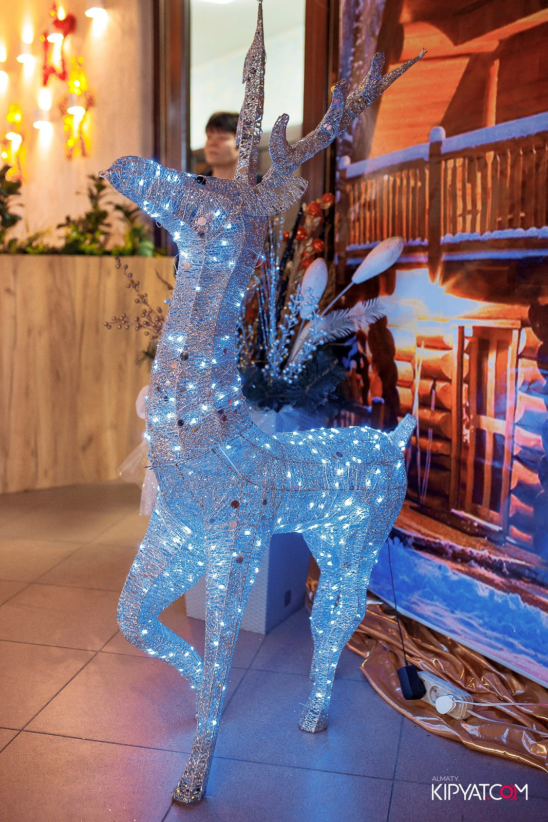 КАФЕ АЙНУР. КИПЯТКОМ АЛМАТЫ! Фотосъемка мероприятий в Алматы