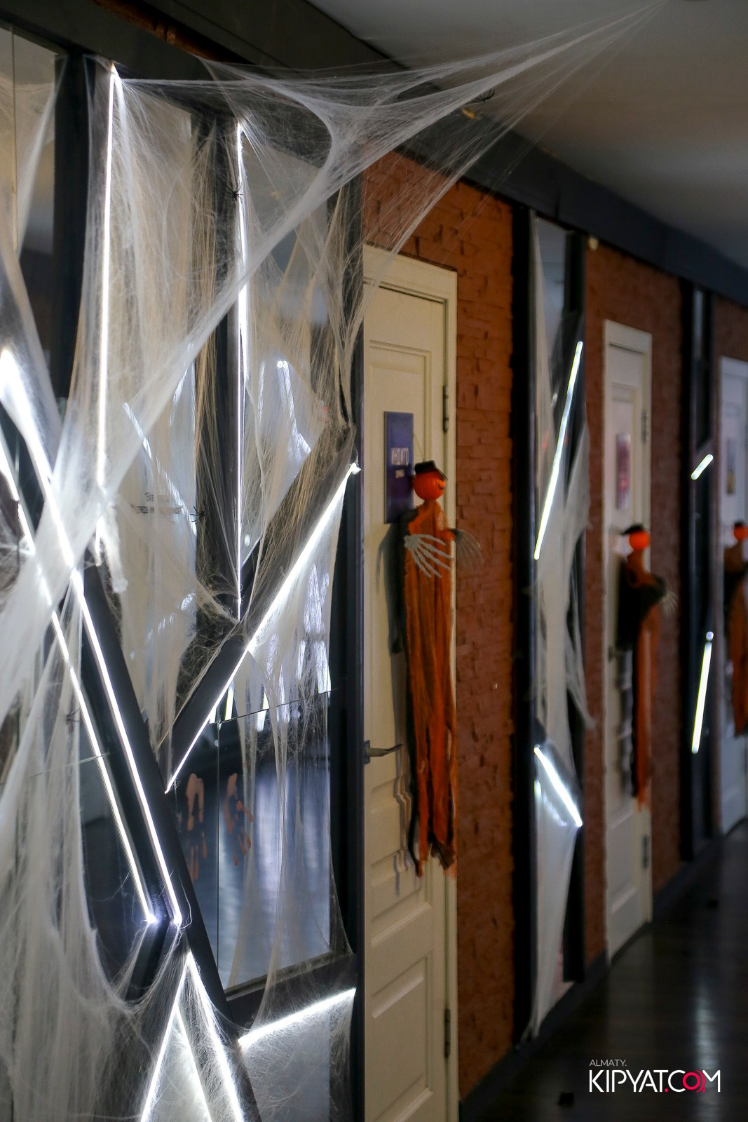 УХО И МЕДВЕДЬ НА САИНА. КИПЯТКОМ АЛМАТЫ!