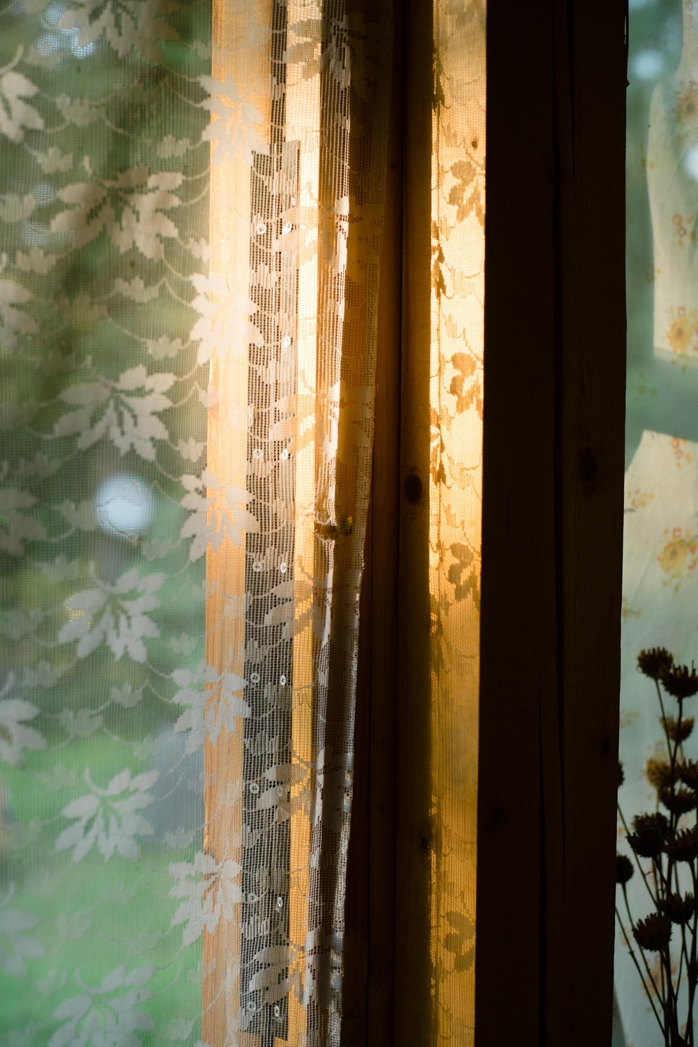 Summer Recurrences. Пётр Антонов