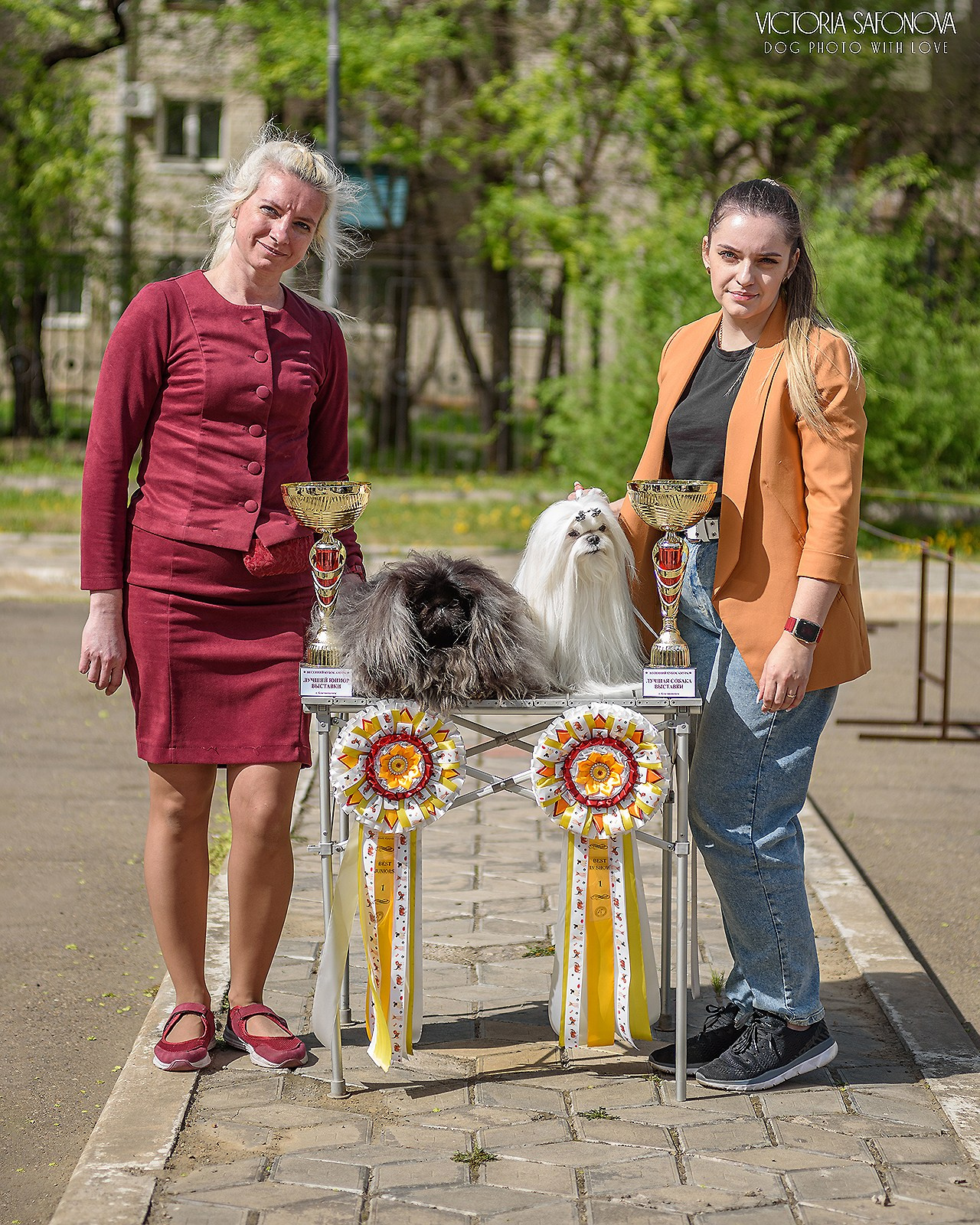 18–19 мая 2024 Благовещенск. Фотограф анималист Благовещенск. Сафонова Виктория