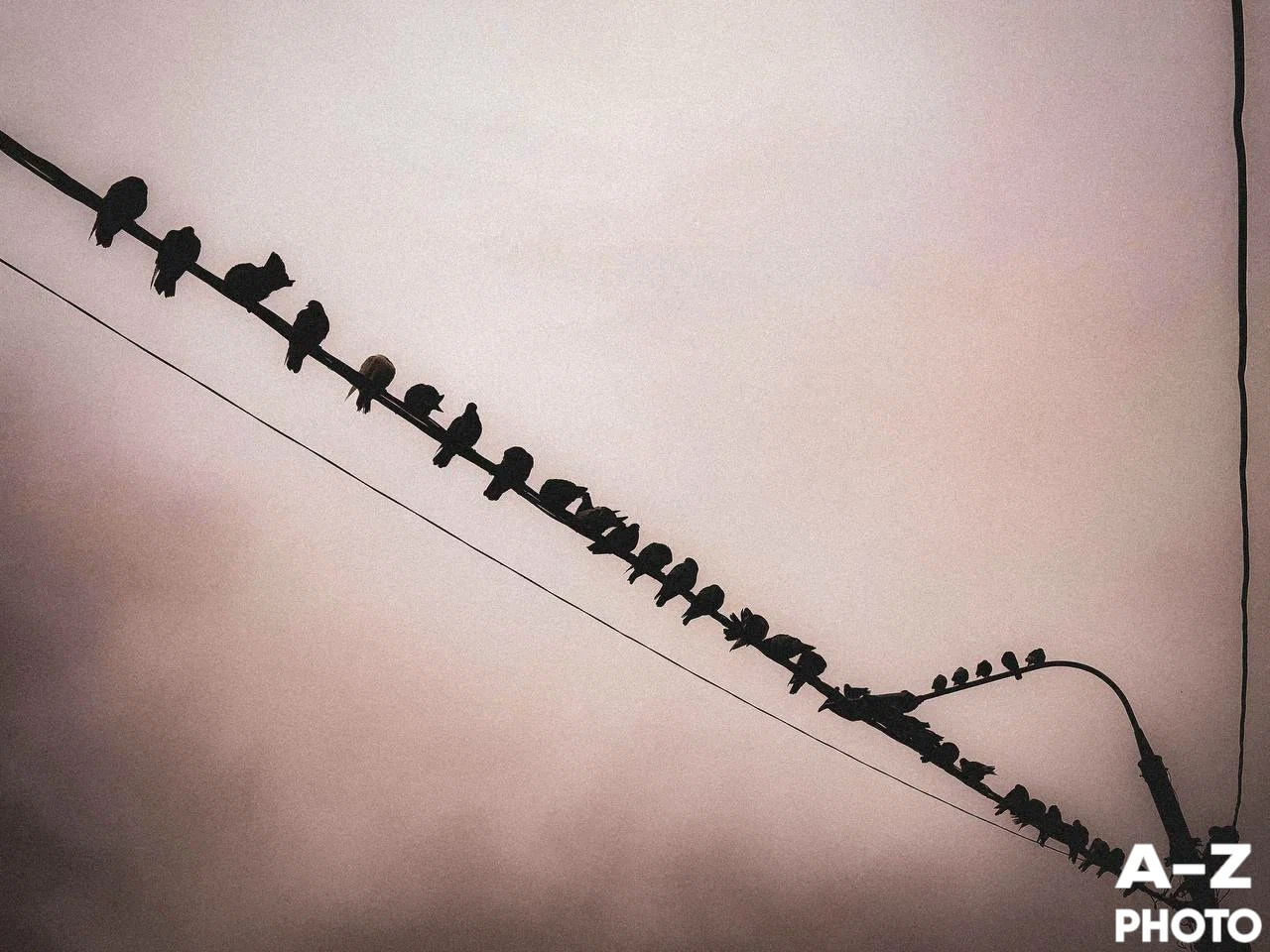 #ФОТОНЕДЕЛИ 01.12.2025. Женский семейный фотограф Тула Москва Захарова Анна