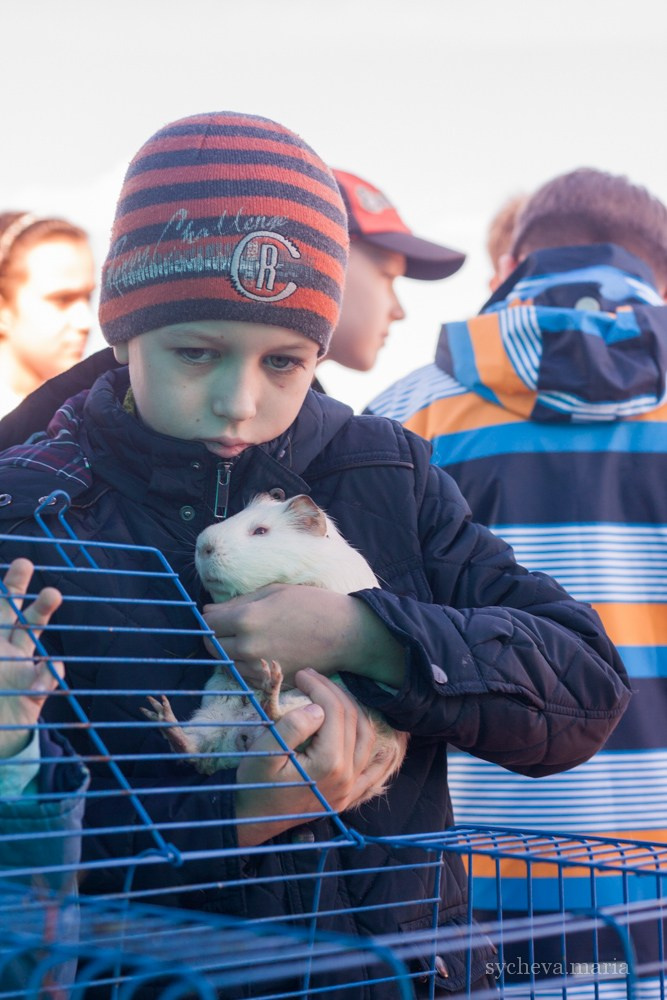 Ярмарка талантов. Детский и семейный фотограф, фотограф мероприятий Нижний Новгород