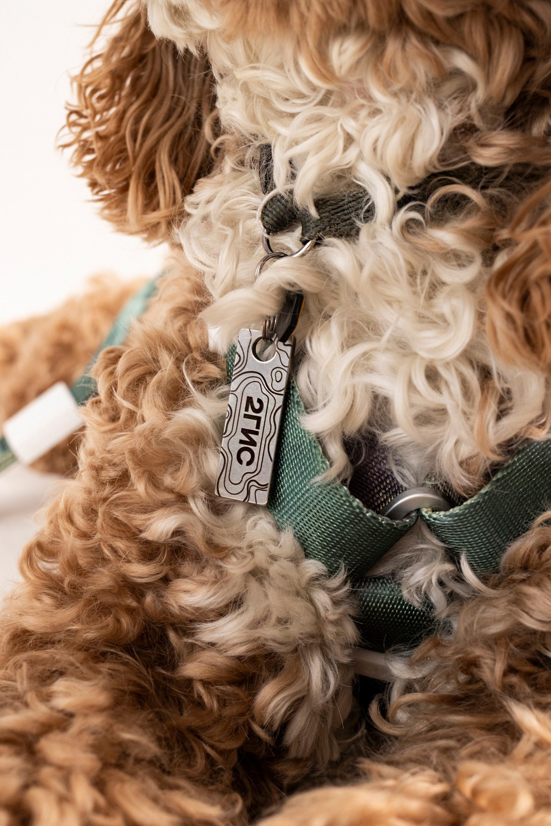 2ГИС & staya. Романова Александра фотограф в Москве