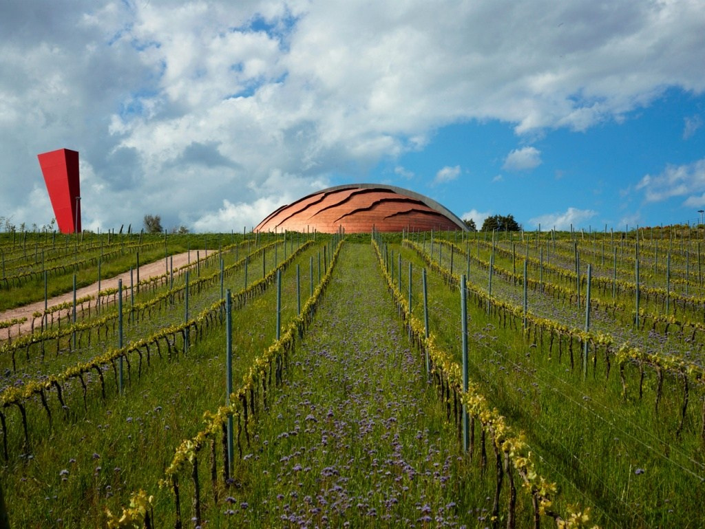 Tenuta Castelbuono — el Carapace (Италия). Фотограф для маркетплейсов Михаил Бове
