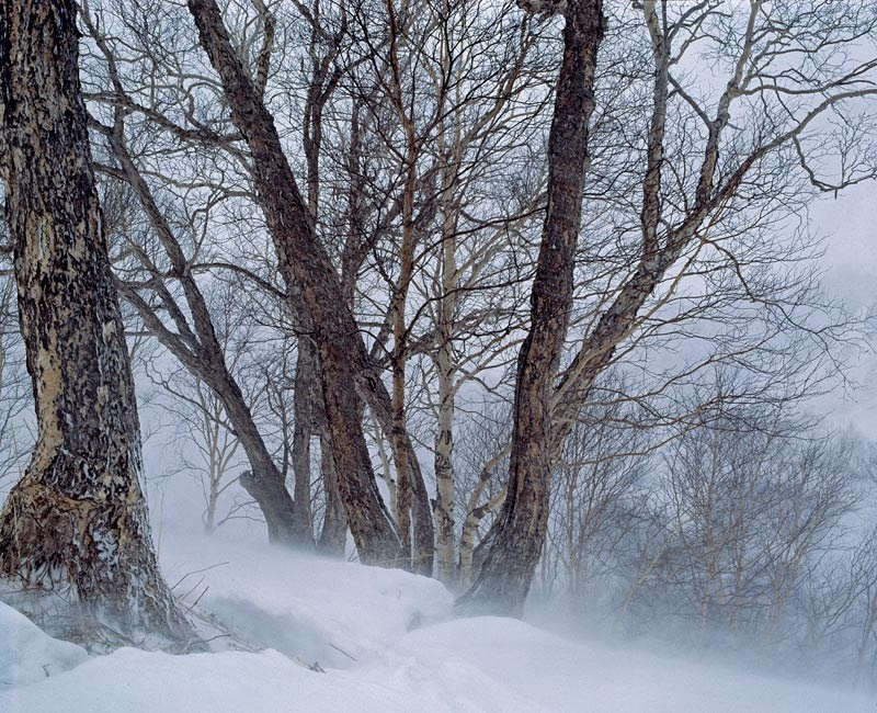 Зима в долине