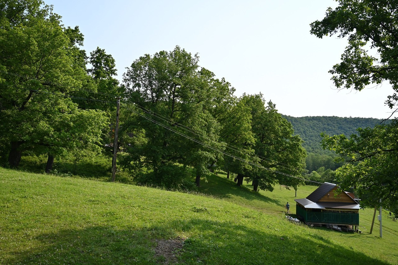 Отзывы. Фотограф в Стерлитамаке