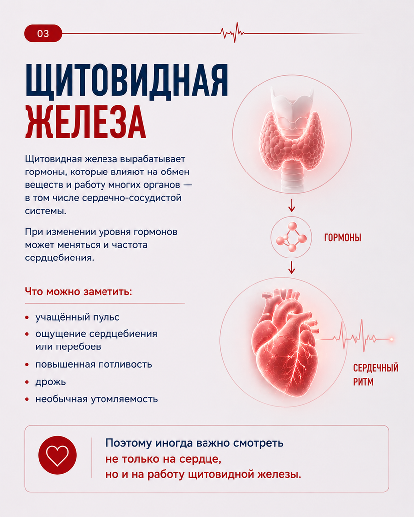 Контент/Карусели. Фотограф Москва съемка мероприятий в Москве и Московской области Мария Рывкина
