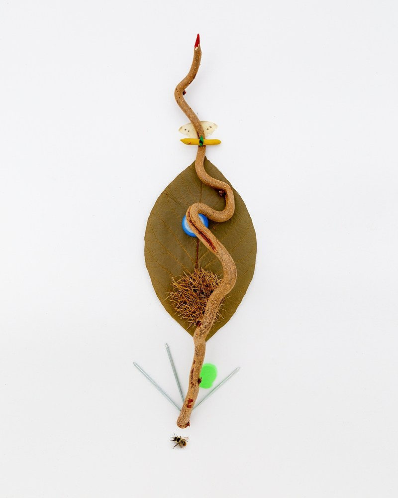 Острые предметы. Фотографии Саши Любина