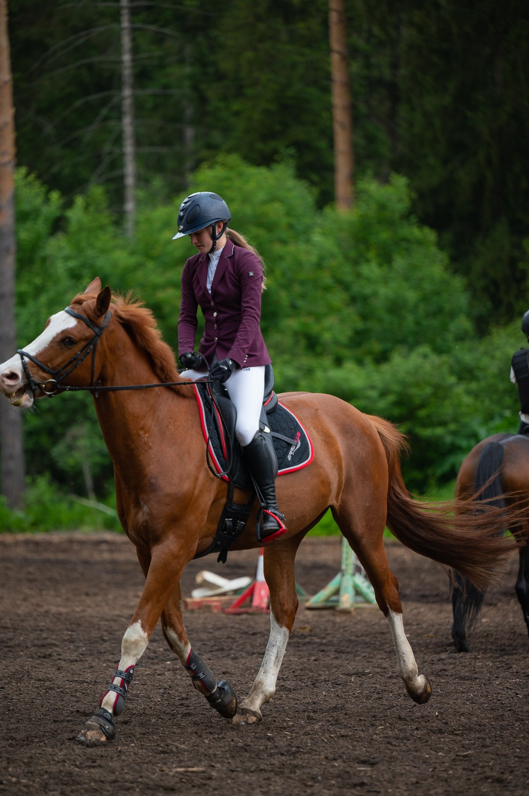 Конюшня. Мир живой фотографии о Вас и для Вас