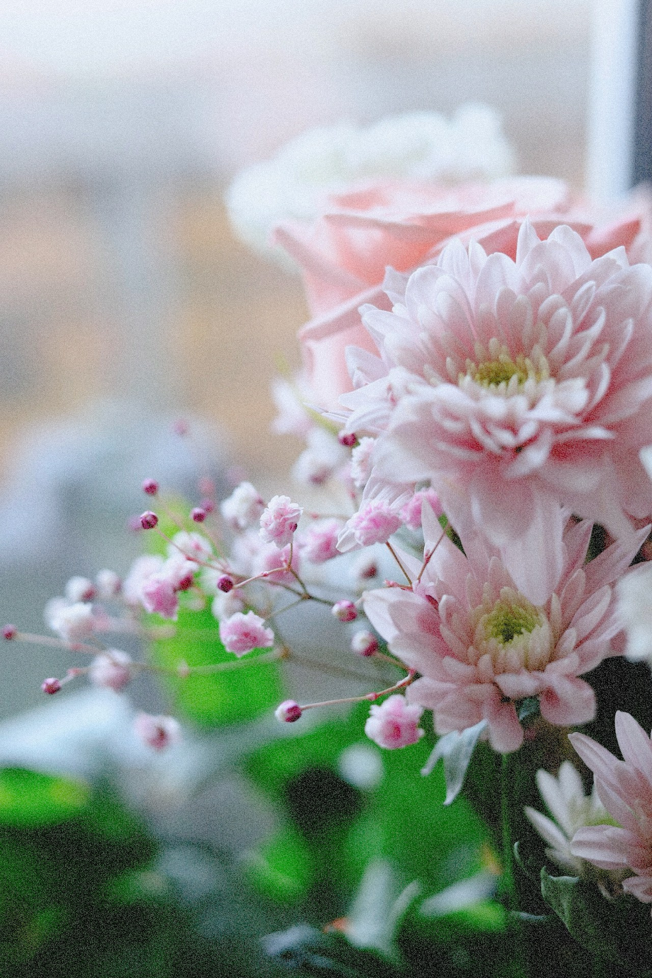 Все, что вокруг меня. Фотограф Евгения Ошкина, Саранск