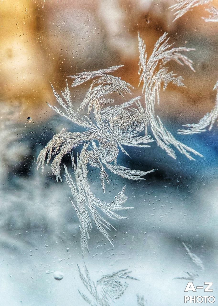 #ФОТОНЕДЕЛИ 26.01.2026. Женский семейный фотограф Тула Москва Захарова Анна
