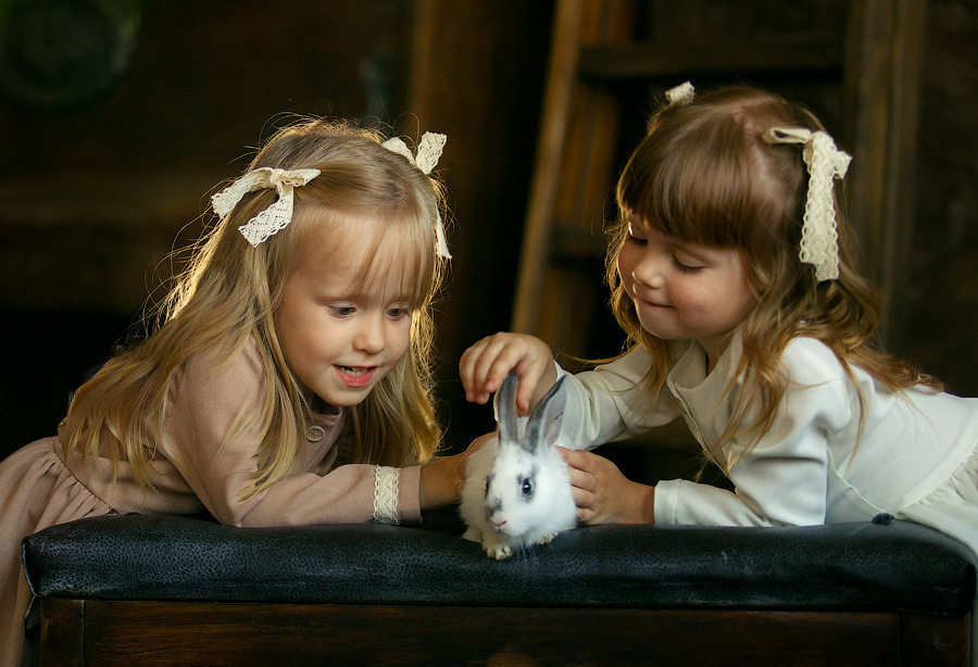 Портфолио. Детский и семейный фотограф в Павлодаре Оксана Солей. Школа моделей