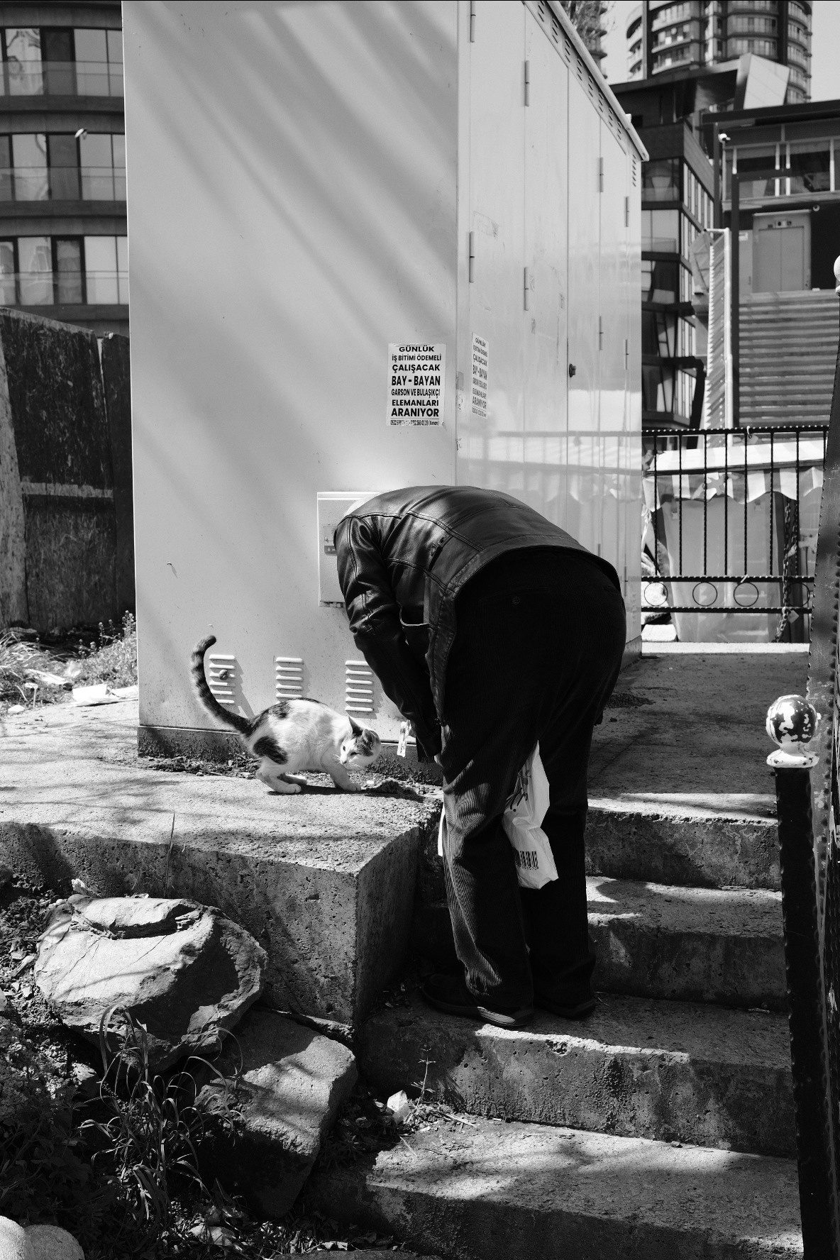 Street. Если ты на Земле — звони