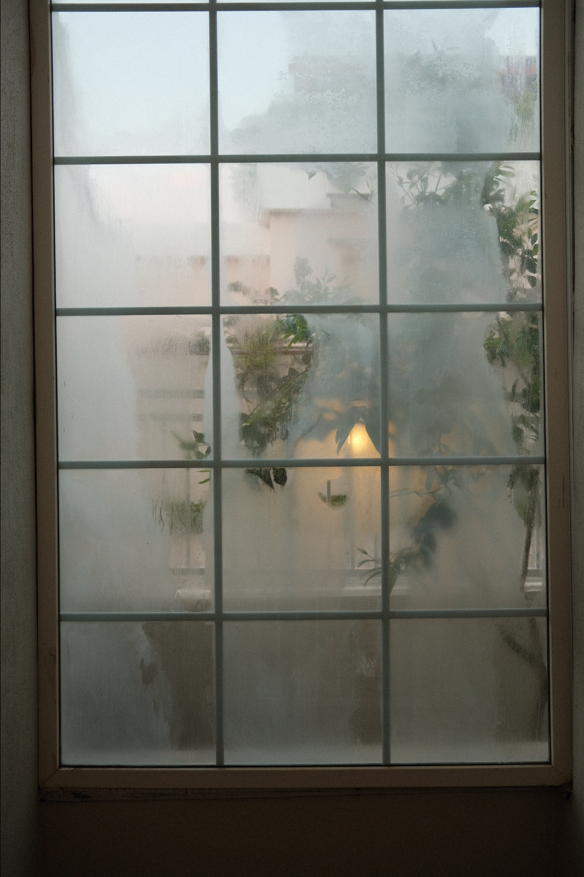 Street. Если ты на Земле — звони