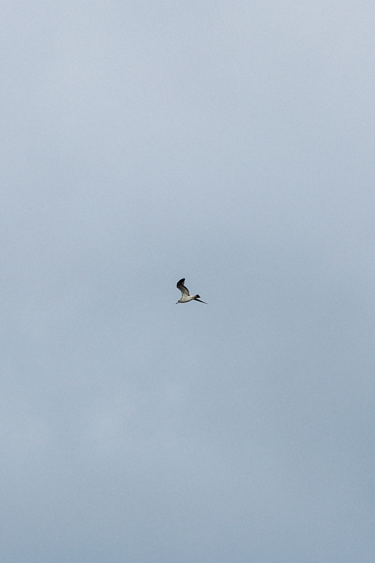 Тимбилдинг в «Улетай». Фотограф Александр Тулупов