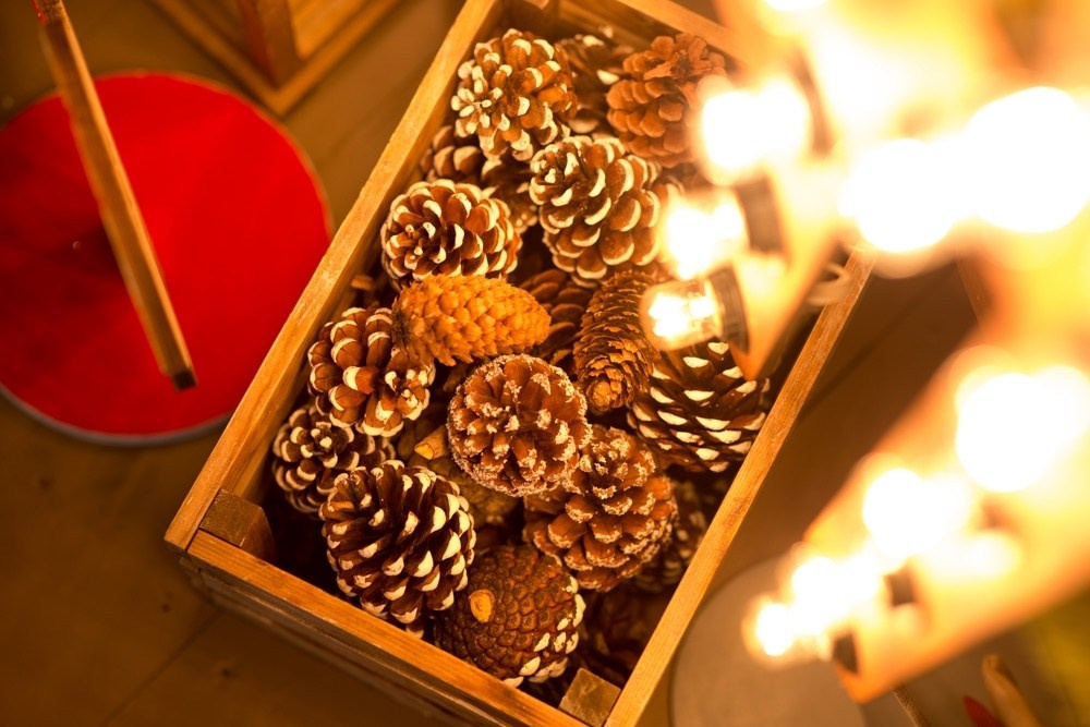 ДЕТСКАЯ ФОТОСТУДИЯ. Фотограф Тамара Нижельская Воронеж