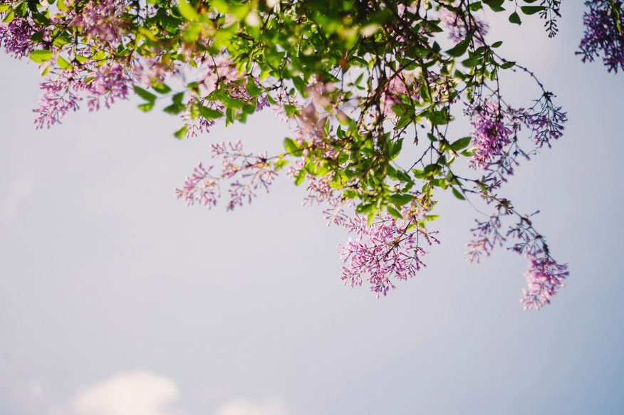 Munich. Свадебный фотограф в Ростове-на-Дону Владимир Пешков