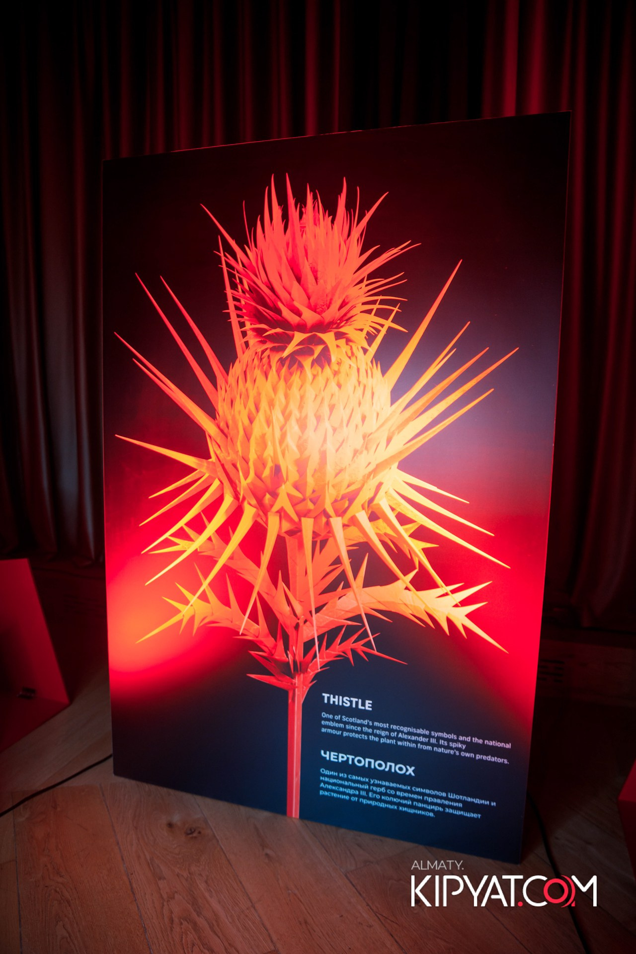 THE MACALLAN TIME SPACE MASTERY ВЕЧЕР В RITZ CARLTON ALMATY. КИПЯТКОМ АЛМАТЫ!