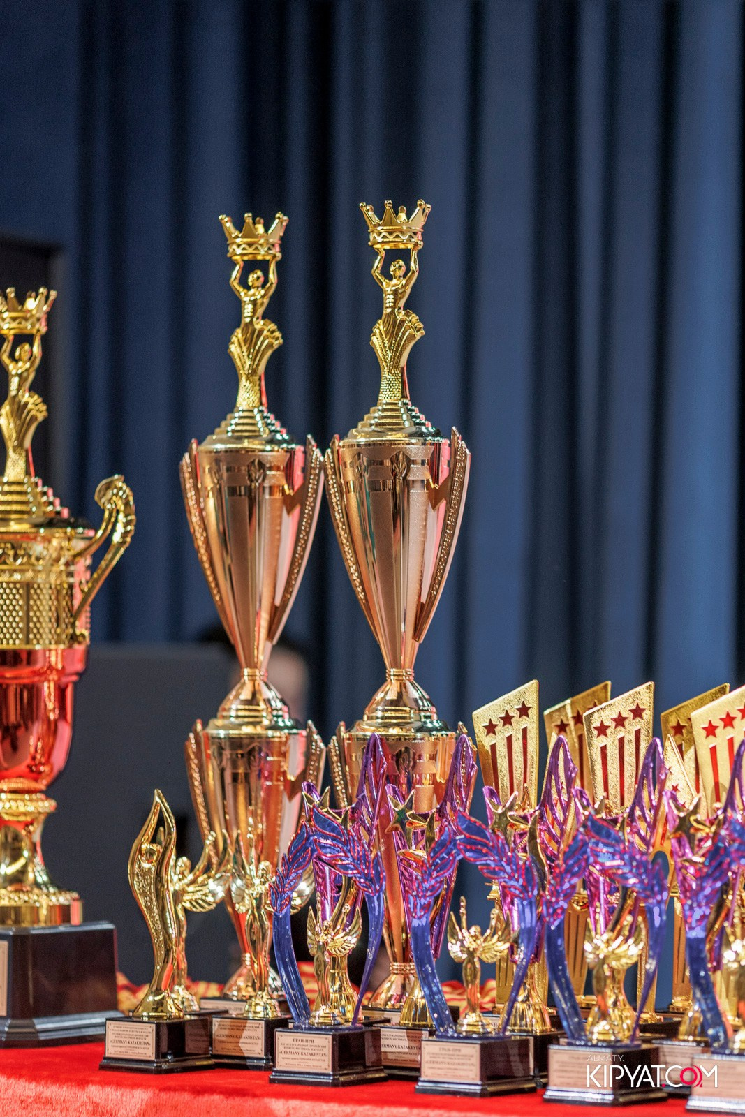 XXI INTERNATIONAL EUROPEAN FESTIVAL ARTS GERMANY-KAZAKHSTAN #ПРОЕКТЫЗИМИНА. КИПЯТКОМ АЛМАТЫ! Фотосъемка мероприятий в Алматы