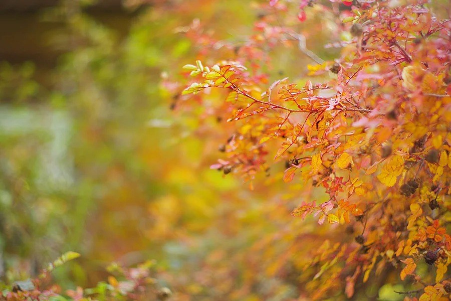 Путешествия. Фотограф Ирина Абзалова