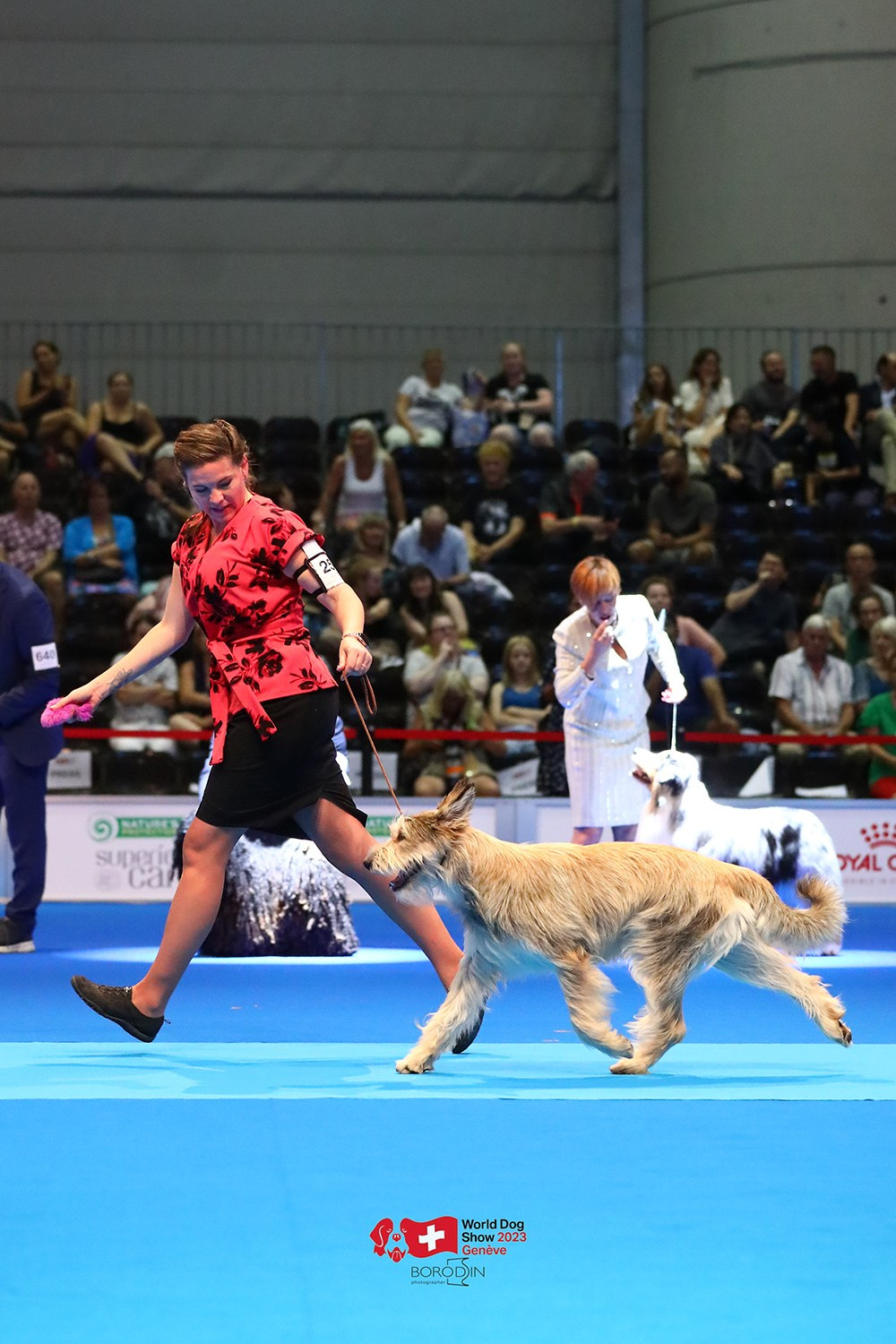 24-27.08.2023 WDS Geneva. Фотограф Дмитрий Бородин