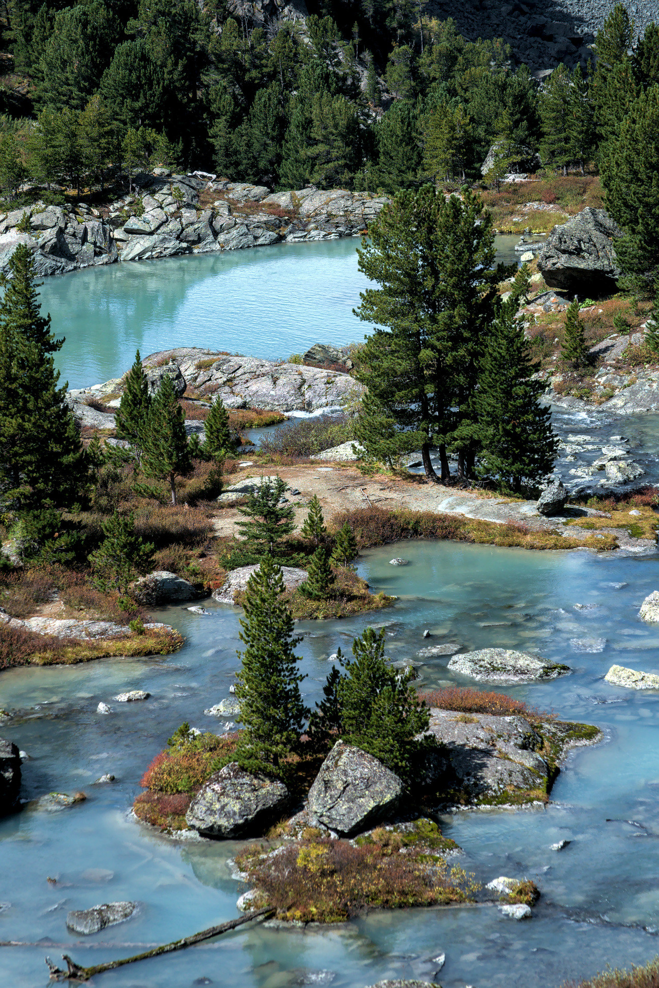 Лес на фоне голубого озера Куйгук