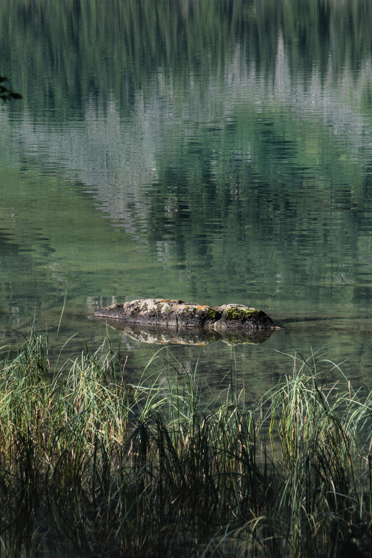 фото Алтай озеро